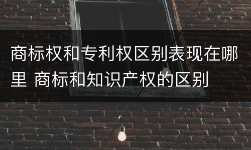商标权和专利权区别表现在哪里 商标和知识产权的区别