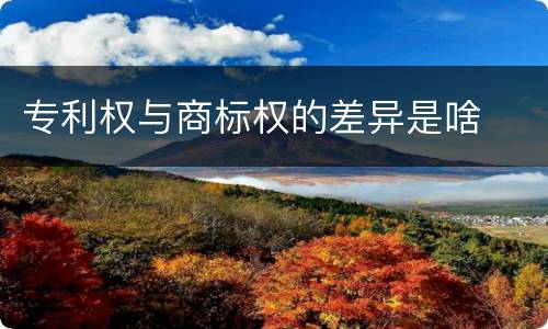 专利权与商标权的差异是啥