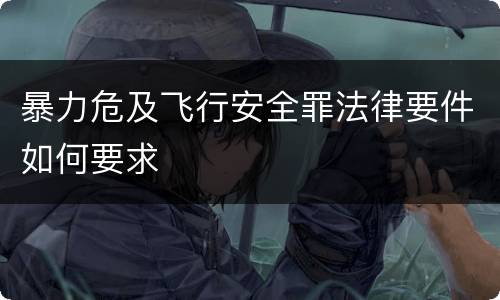 暴力危及飞行安全罪法律要件如何要求