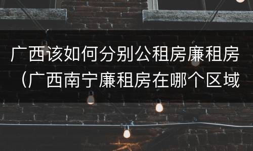 广西该如何分别公租房廉租房（广西南宁廉租房在哪个区域）