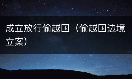 成立放行偷越国（偷越国边境立案）