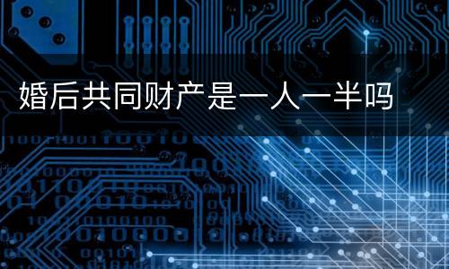 婚后共同财产是一人一半吗