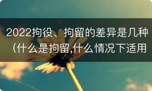 2022拘役、拘留的差异是几种（什么是拘留,什么情况下适用拘留）