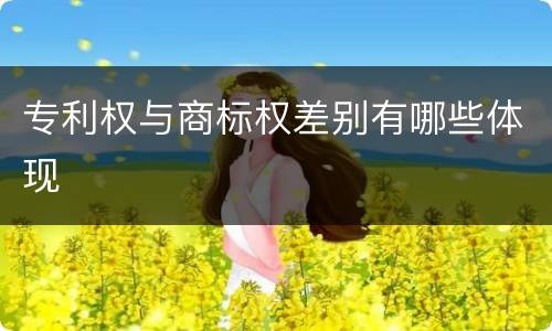 专利权与商标权差别有哪些体现