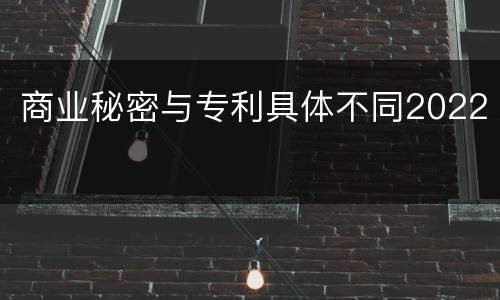 商业秘密与专利具体不同2022