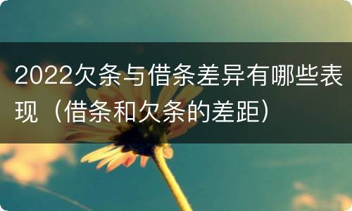 2022欠条与借条差异有哪些表现（借条和欠条的差距）