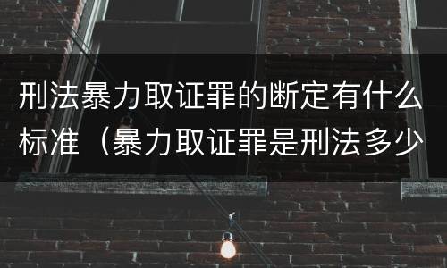 刑法暴力取证罪的断定有什么标准（暴力取证罪是刑法多少条）