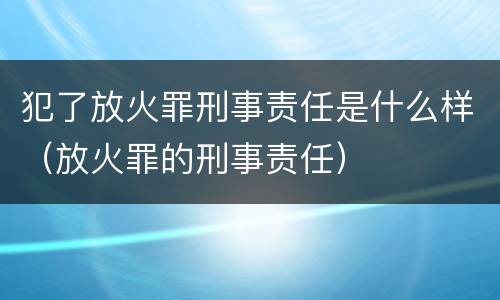 犯了放火罪刑事责任是什么样（放火罪的刑事责任）