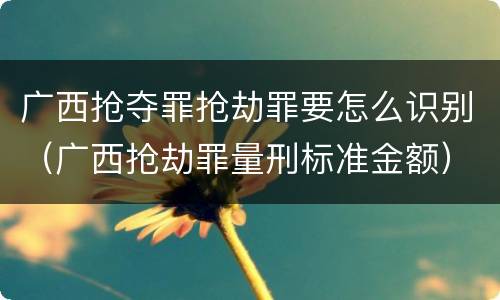 广西抢夺罪抢劫罪要怎么识别（广西抢劫罪量刑标准金额）