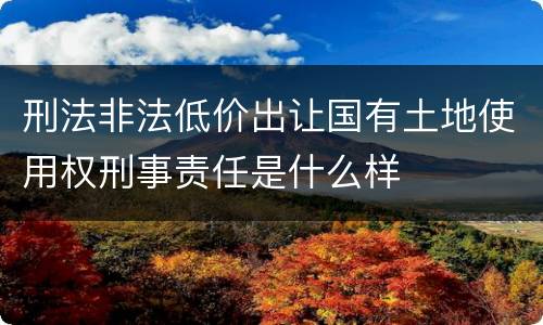 刑法非法低价出让国有土地使用权刑事责任是什么样