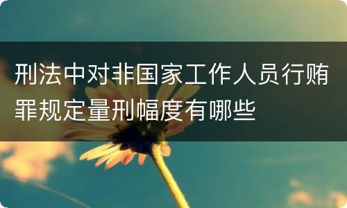 刑法中对非国家工作人员行贿罪规定量刑幅度有哪些