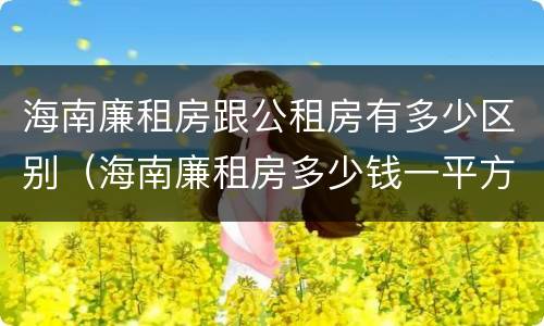 海南廉租房跟公租房有多少区别（海南廉租房多少钱一平方）