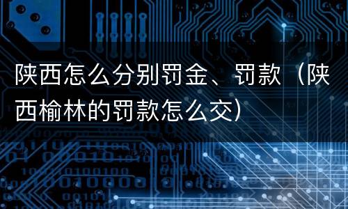 陕西怎么分别罚金、罚款（陕西榆林的罚款怎么交）