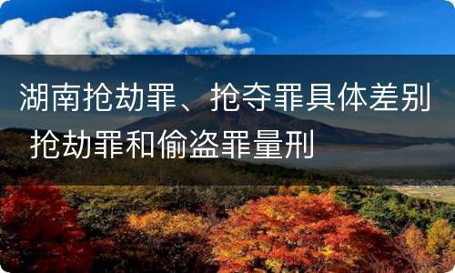 湖南抢劫罪、抢夺罪具体差别 抢劫罪和偷盗罪量刑