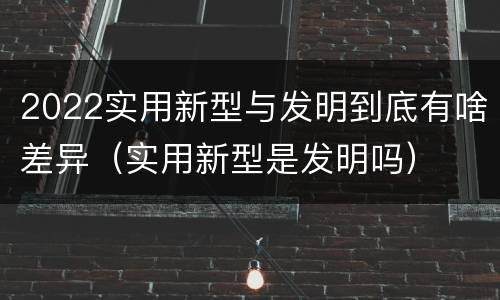 2022实用新型与发明到底有啥差异（实用新型是发明吗）