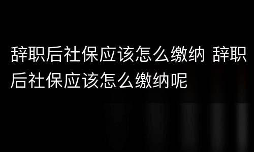 辞职后社保应该怎么缴纳 辞职后社保应该怎么缴纳呢