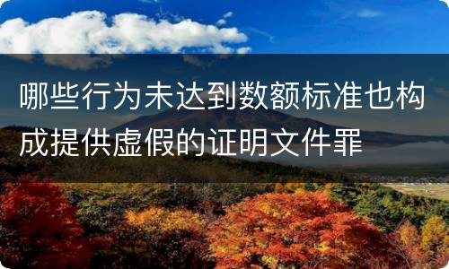 哪些行为未达到数额标准也构成提供虚假的证明文件罪