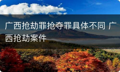 广西抢劫罪抢夺罪具体不同 广西抢劫案件