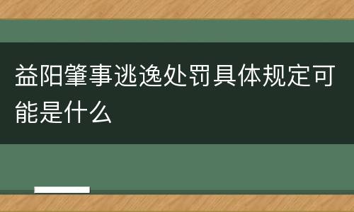 益阳肇事逃逸处罚具体规定可能是什么