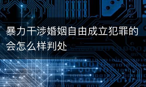 暴力干涉婚姻自由成立犯罪的会怎么样判处