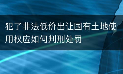 犯了非法低价出让国有土地使用权应如何判刑处罚