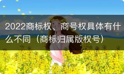 2022商标权、商号权具体有什么不同（商标归属版权号）
