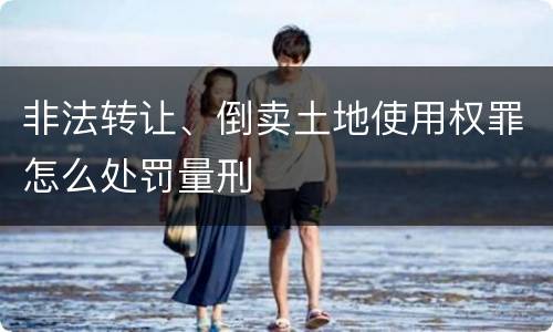 非法转让、倒卖土地使用权罪怎么处罚量刑