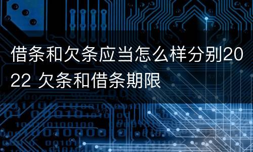 借条和欠条应当怎么样分别2022 欠条和借条期限