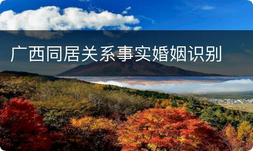 广西同居关系事实婚姻识别