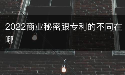 2022商业秘密跟专利的不同在哪