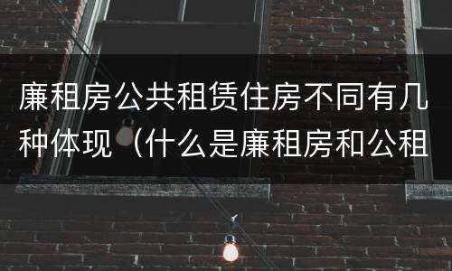 廉租房公共租赁住房不同有几种体现（什么是廉租房和公租房两个有什么特点）