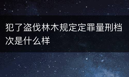 犯了盗伐林木规定定罪量刑档次是什么样