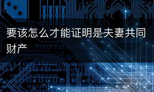 要该怎么才能证明是夫妻共同财产