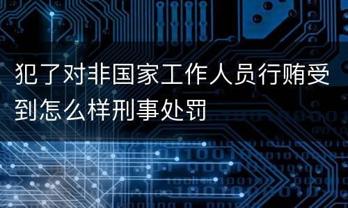 犯了对非国家工作人员行贿受到怎么样刑事处罚