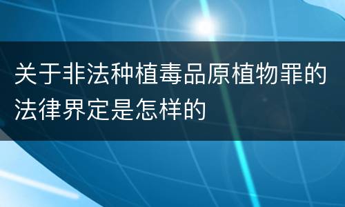 关于非法种植毒品原植物罪的法律界定是怎样的