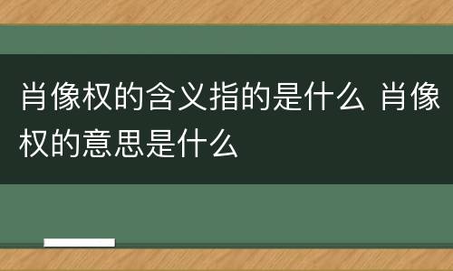 肖像权的含义指的是什么 肖像权的意思是什么