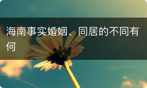 海南事实婚姻、同居的不同有何