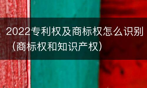 2022专利权及商标权怎么识别（商标权和知识产权）