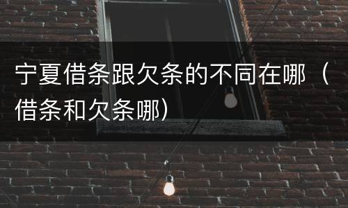 宁夏借条跟欠条的不同在哪（借条和欠条哪）