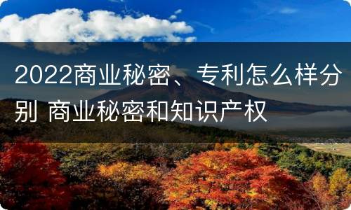 2022商业秘密、专利怎么样分别 商业秘密和知识产权