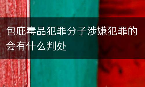 包庇毒品犯罪分子涉嫌犯罪的会有什么判处