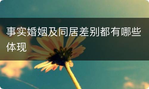 事实婚姻及同居差别都有哪些体现