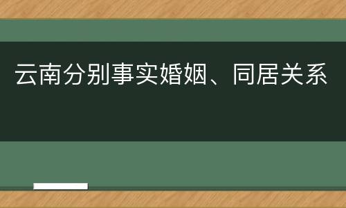 云南分别事实婚姻、同居关系