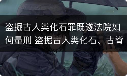 盗掘古人类化石罪既遂法院如何量刑 盗掘古人类化石、古脊椎动物化石罪