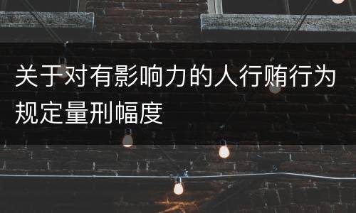 关于对有影响力的人行贿行为规定量刑幅度