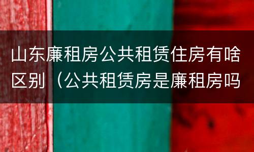 山东廉租房公共租赁住房有啥区别（公共租赁房是廉租房吗）