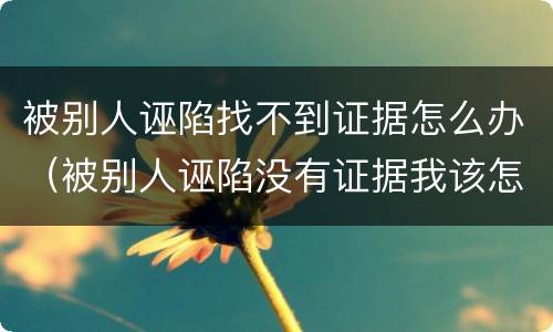 被别人诬陷找不到证据怎么办（被别人诬陷没有证据我该怎么做而且我找不到诬陷我的人）