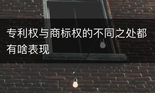 专利权与商标权的不同之处都有啥表现