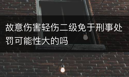 故意伤害轻伤二级免于刑事处罚可能性大的吗
