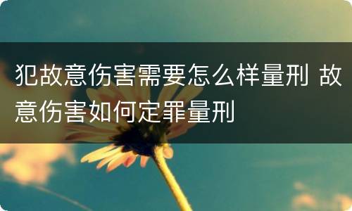 犯故意伤害需要怎么样量刑 故意伤害如何定罪量刑